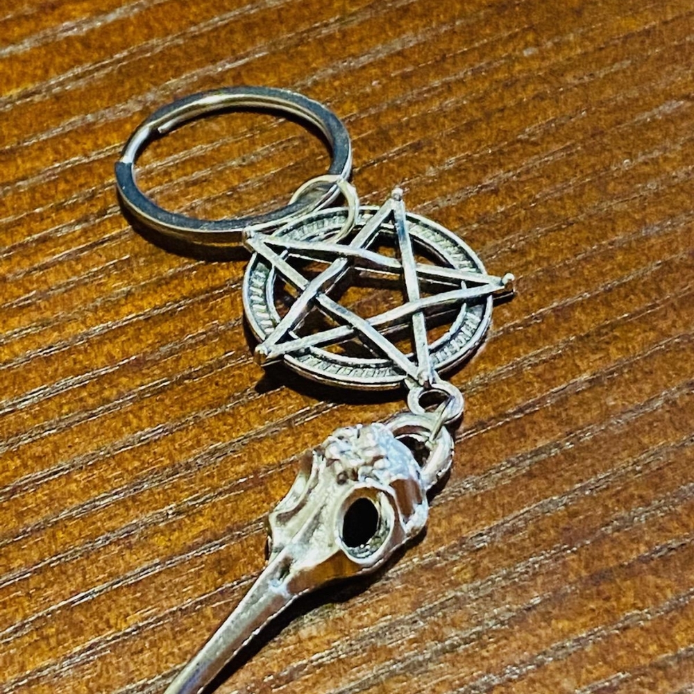 Skull ☠️ keychain